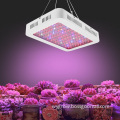 1000W LED Grow Light Double Chip Full Spectrum